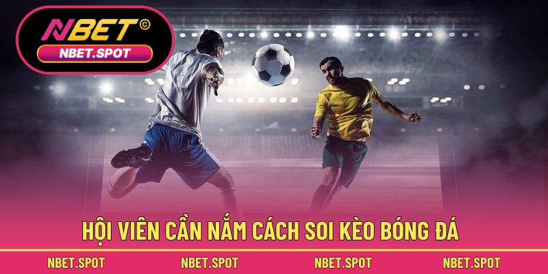 Hội viên cần nắm cách soi kèo bóng đá