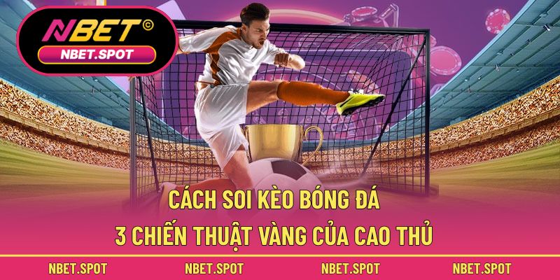 Cách soi kèo bóng đá