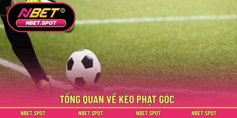 Tổng quan về kèo phạt góc