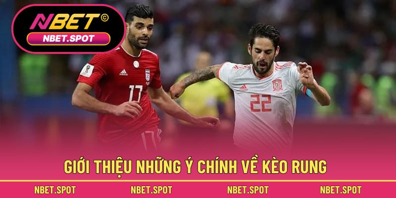 Giới thiệu những ý chính về kèo rung