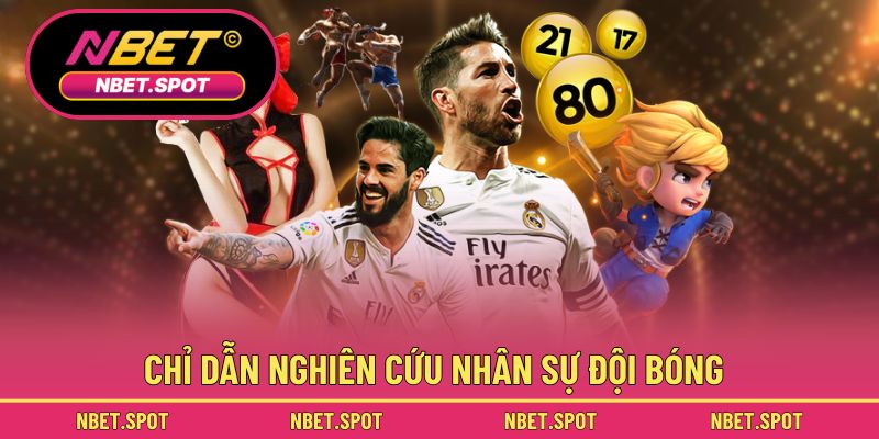 Chỉ dẫn nghiên cứu nhân sự đội bóng