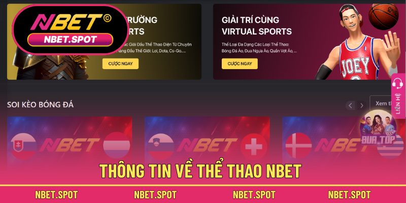 Thông tin về thể thao NBET